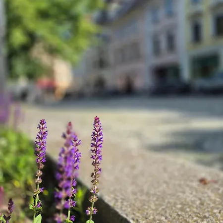 Appartement Luxury Kamienna Gora