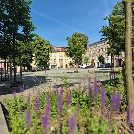 Luxury Appartement Kamienna Gora