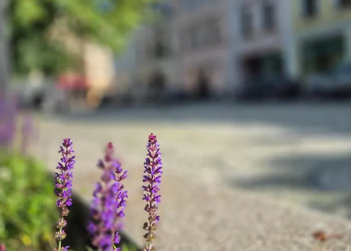 Appartamento Luxury Kamienna Gora